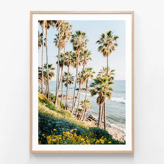 Laguna Beach