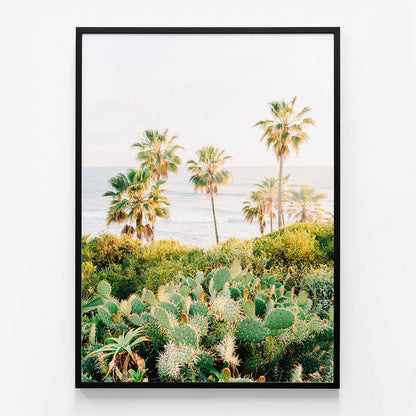 Laguna Cacti
