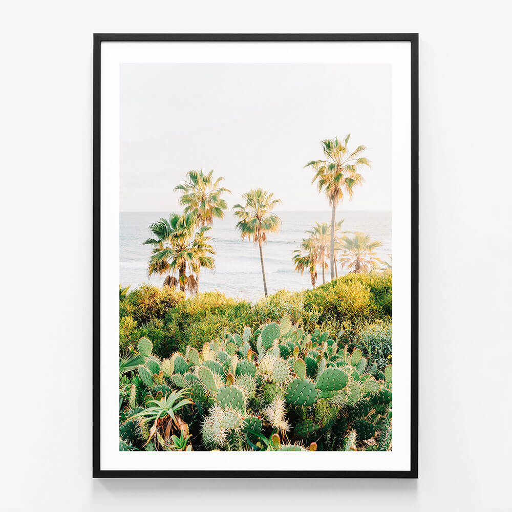 Laguna Cacti
