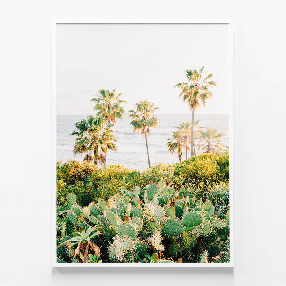 Laguna Cacti