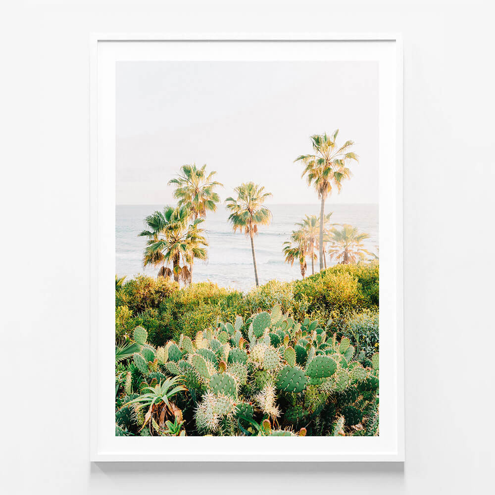 Laguna Cacti