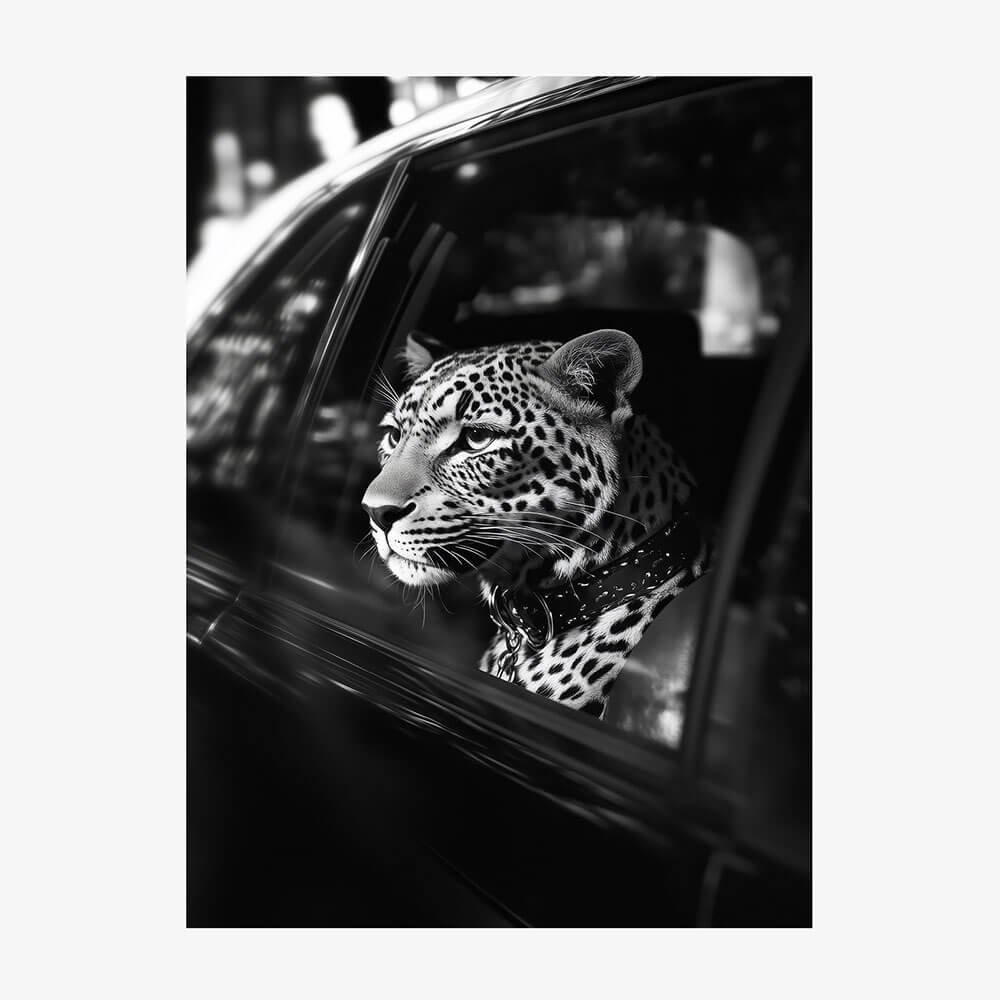 Leopard in Car
