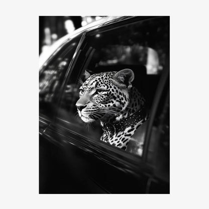 Leopard in Car