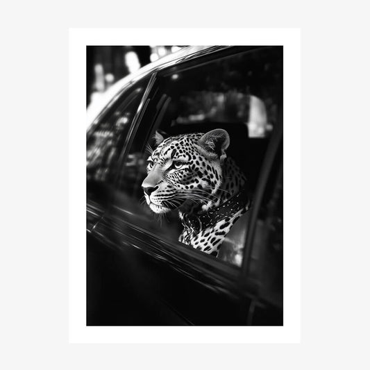 Leopard in Car wall art print