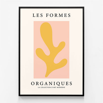 Les Formes Organiques