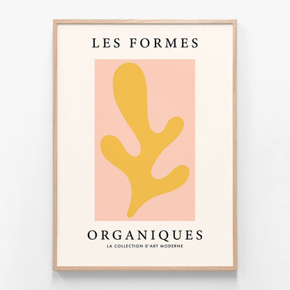 Les Formes Organiques oak framed print