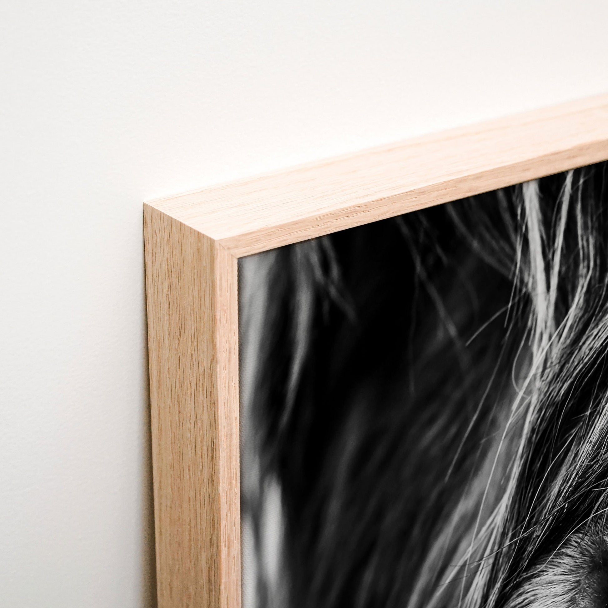 Lewis Canvas corner detail