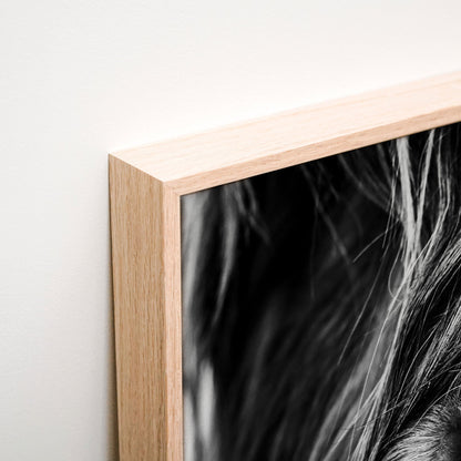 Lewis Canvas corner detail
