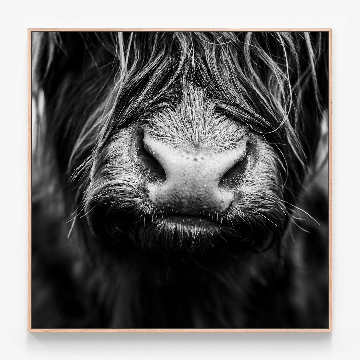 Lewis Canvas wall art with oak float frame