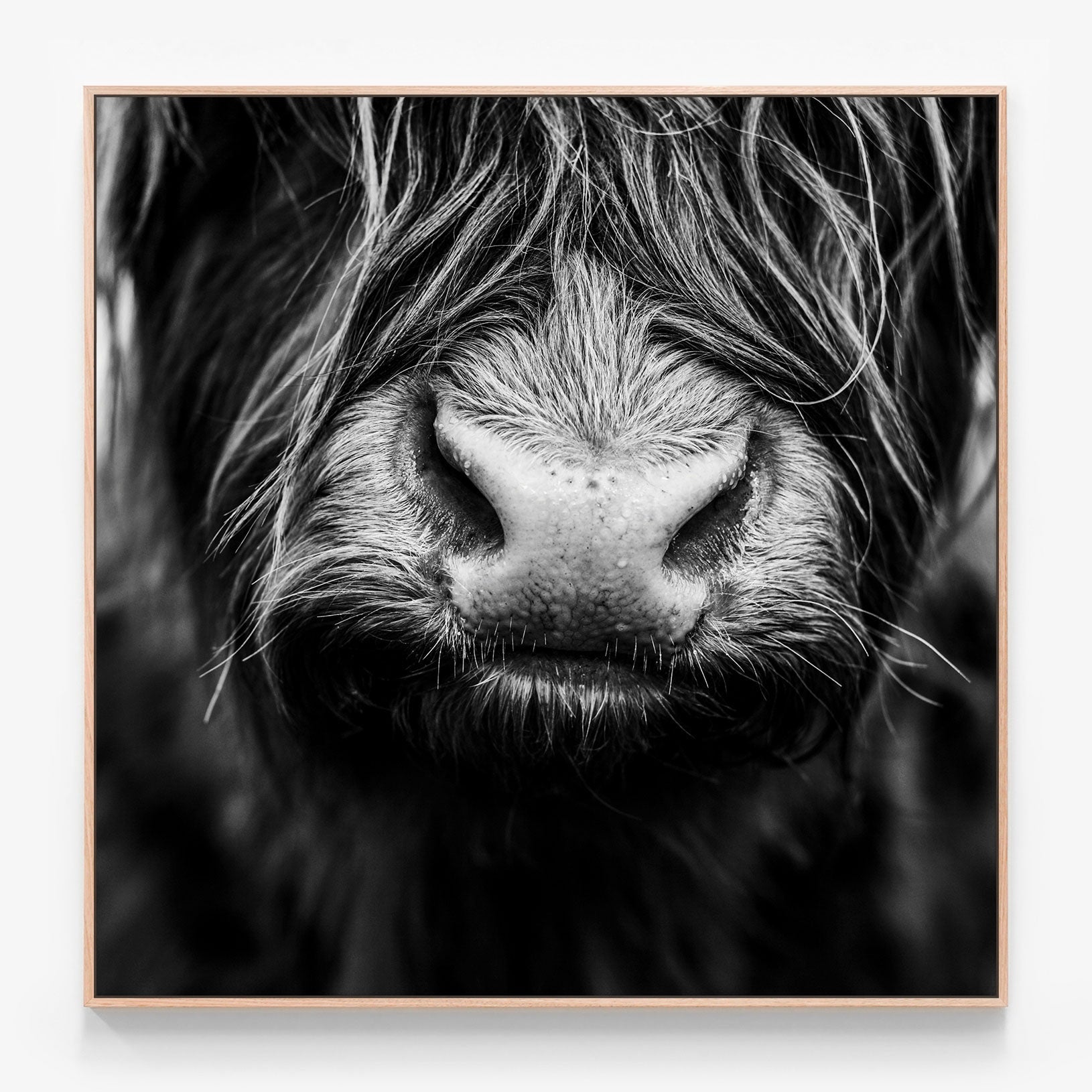 Lewis Canvas wall art with oak float frame
