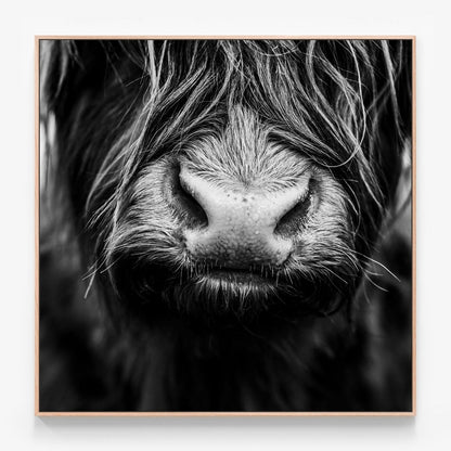 Lewis Canvas wall art with oak float frame