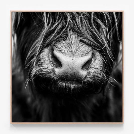Lewis Canvas wall art with oak float frame