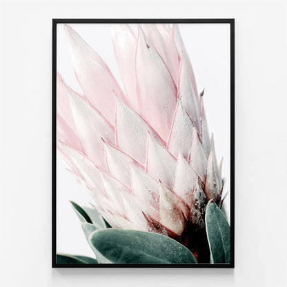 Light Protea No. 2
