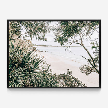 Little Cove