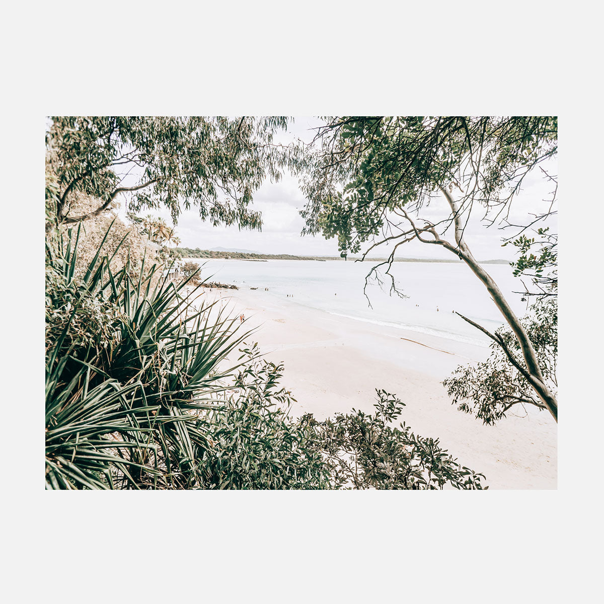 Little Cove