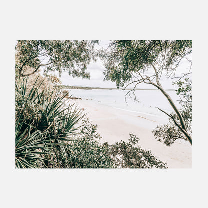 Little Cove