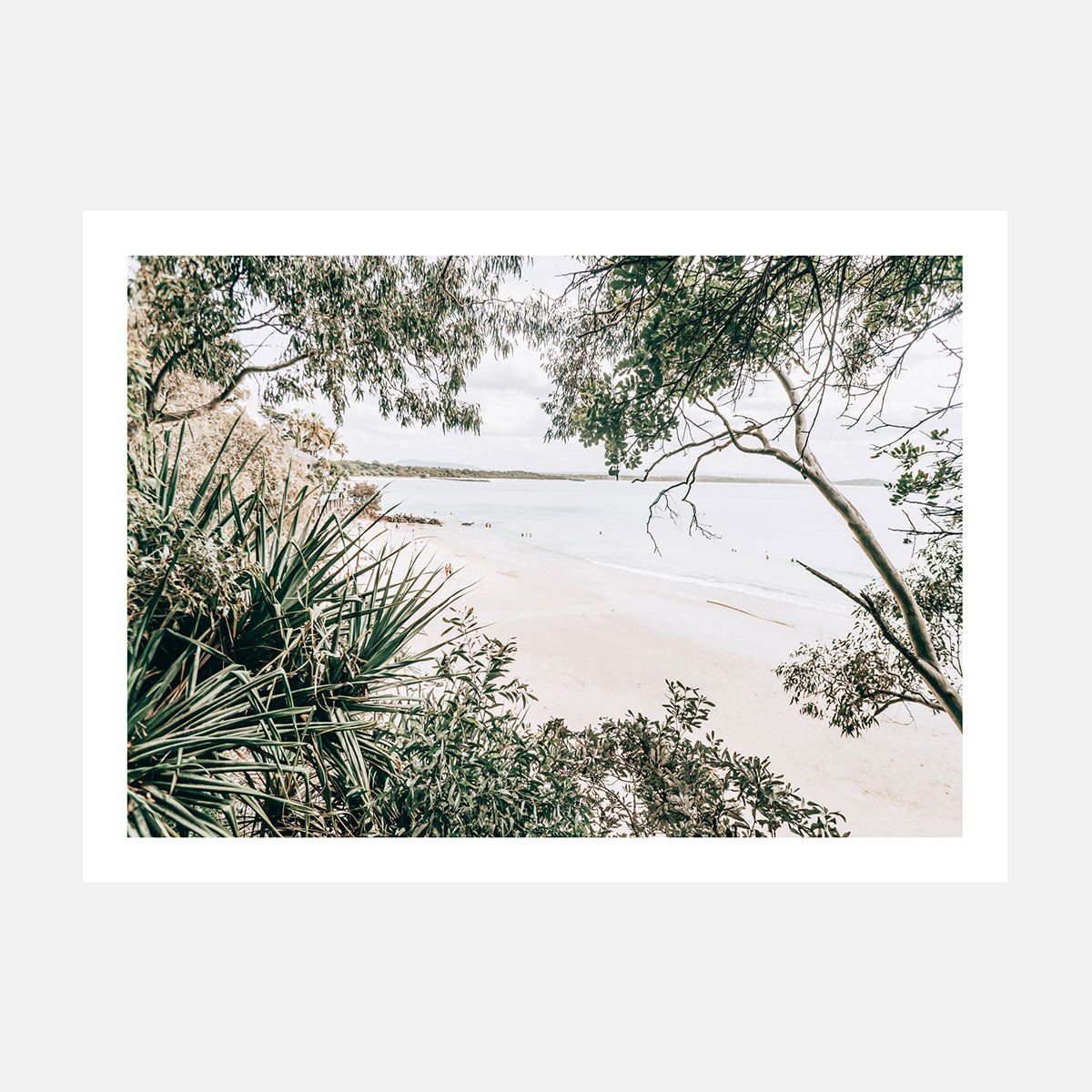 Little Cove
