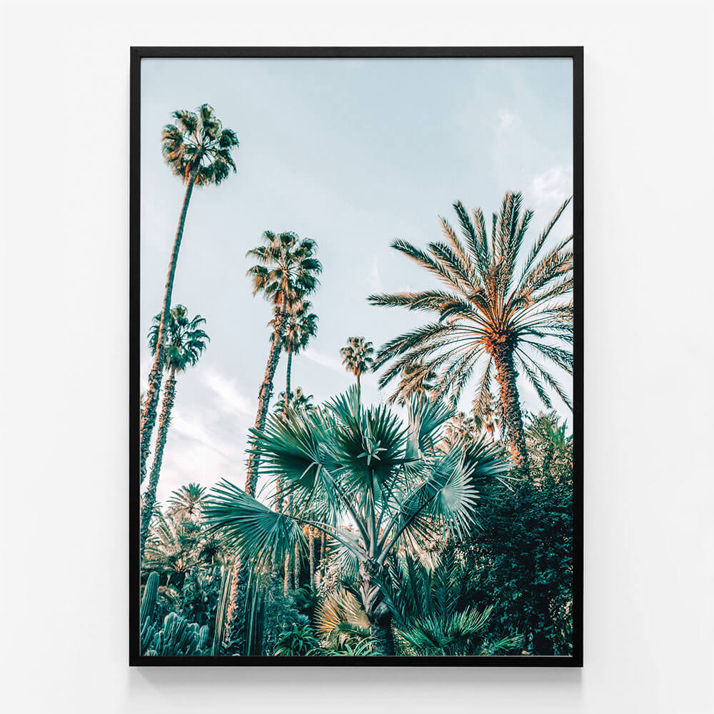 Lush Palms