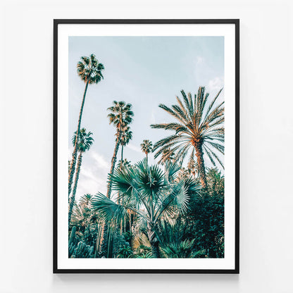 Lush Palms