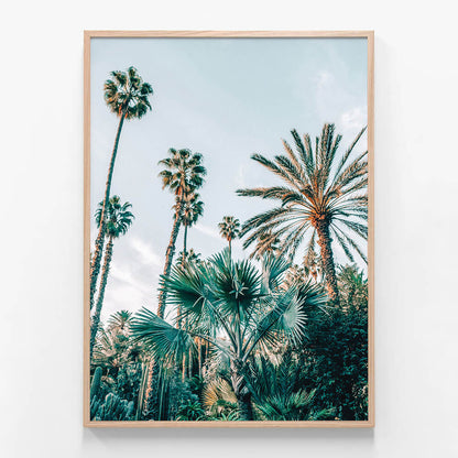 Lush Palms