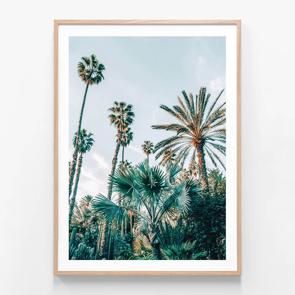 Lush Palms