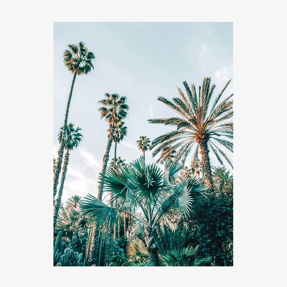 Lush Palms
