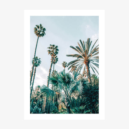 Lush Palms