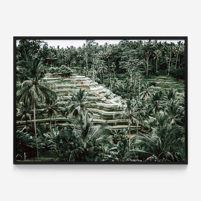 Lush Terraces