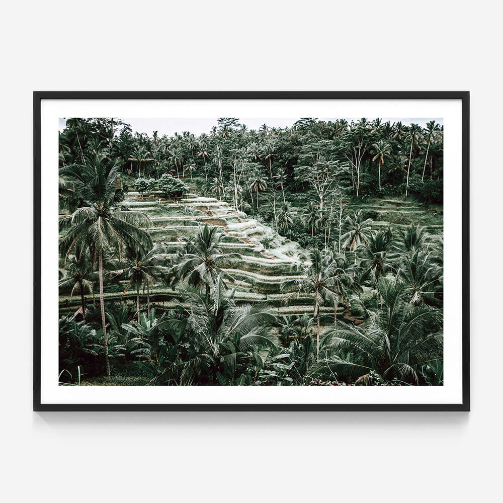 Lush Terraces