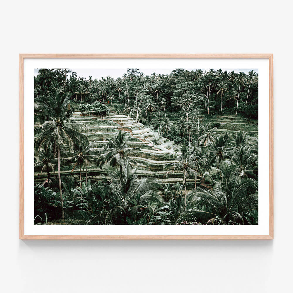Lush Terraces