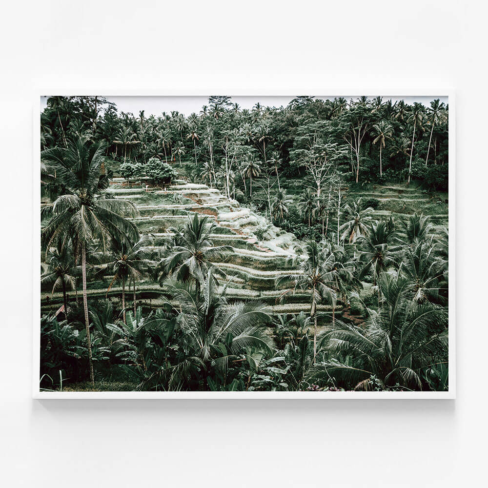 Lush Terraces