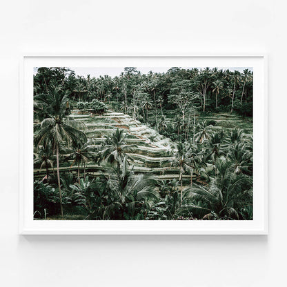 Lush Terraces