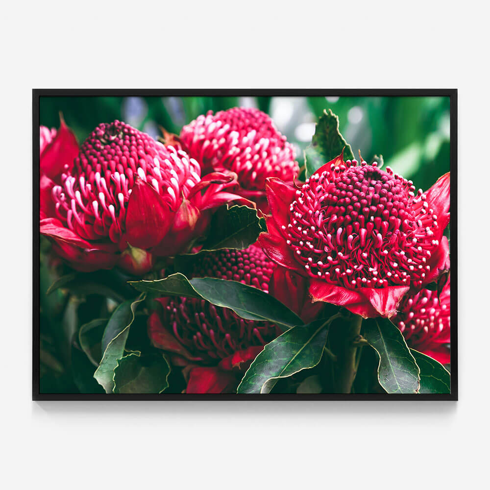 Madeira Florals