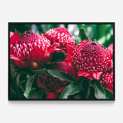 Madeira Florals