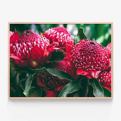 Madeira Florals