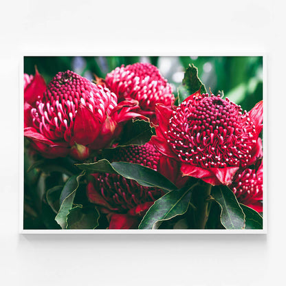 Madeira Florals