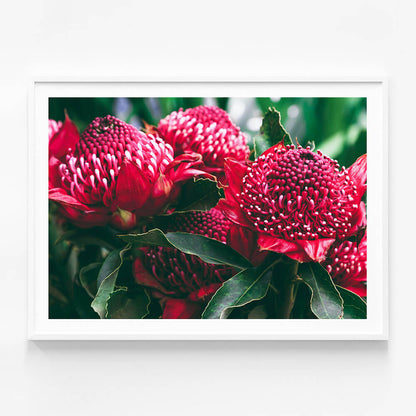 Madeira Florals
