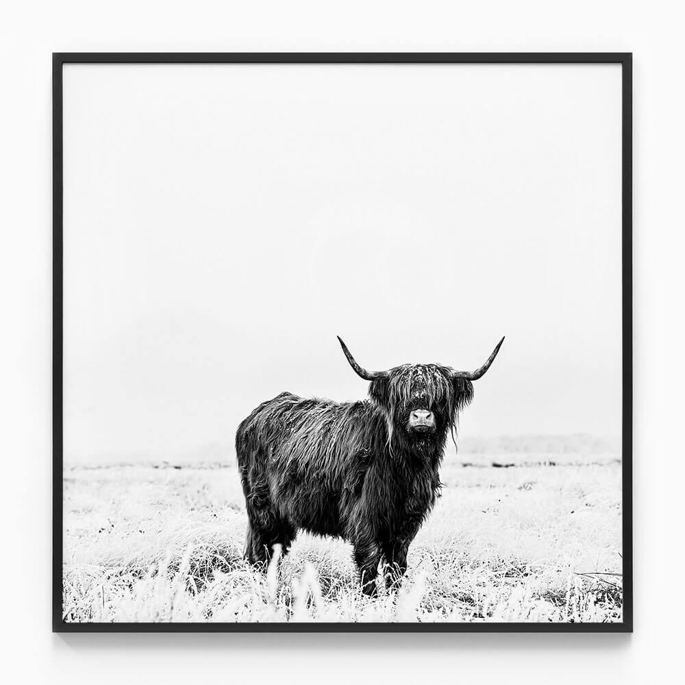 Malcolm B&W