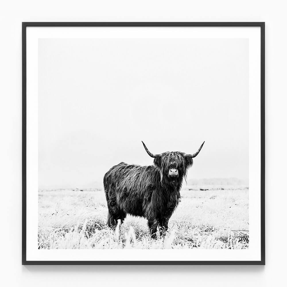 Malcolm B&W
