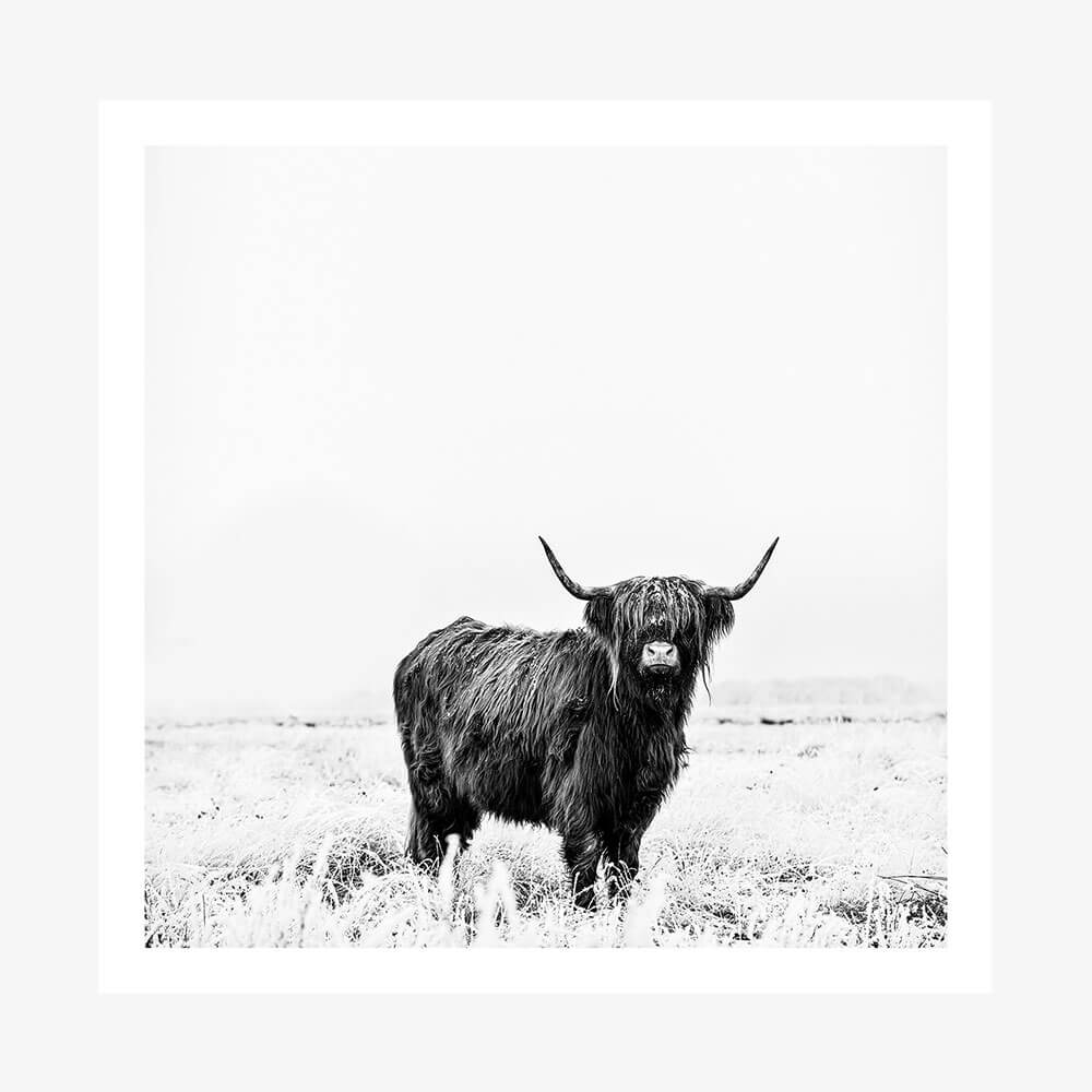 Malcolm B&W