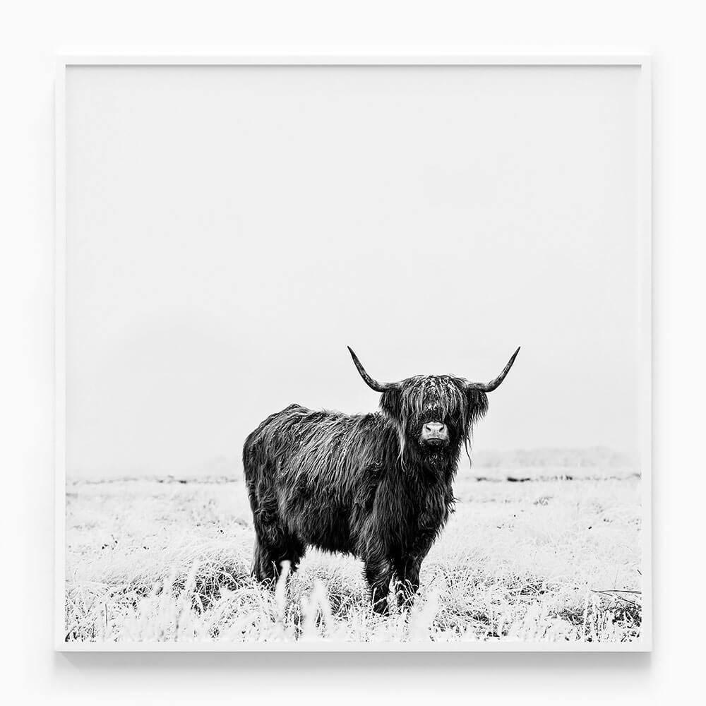 Malcolm B&W