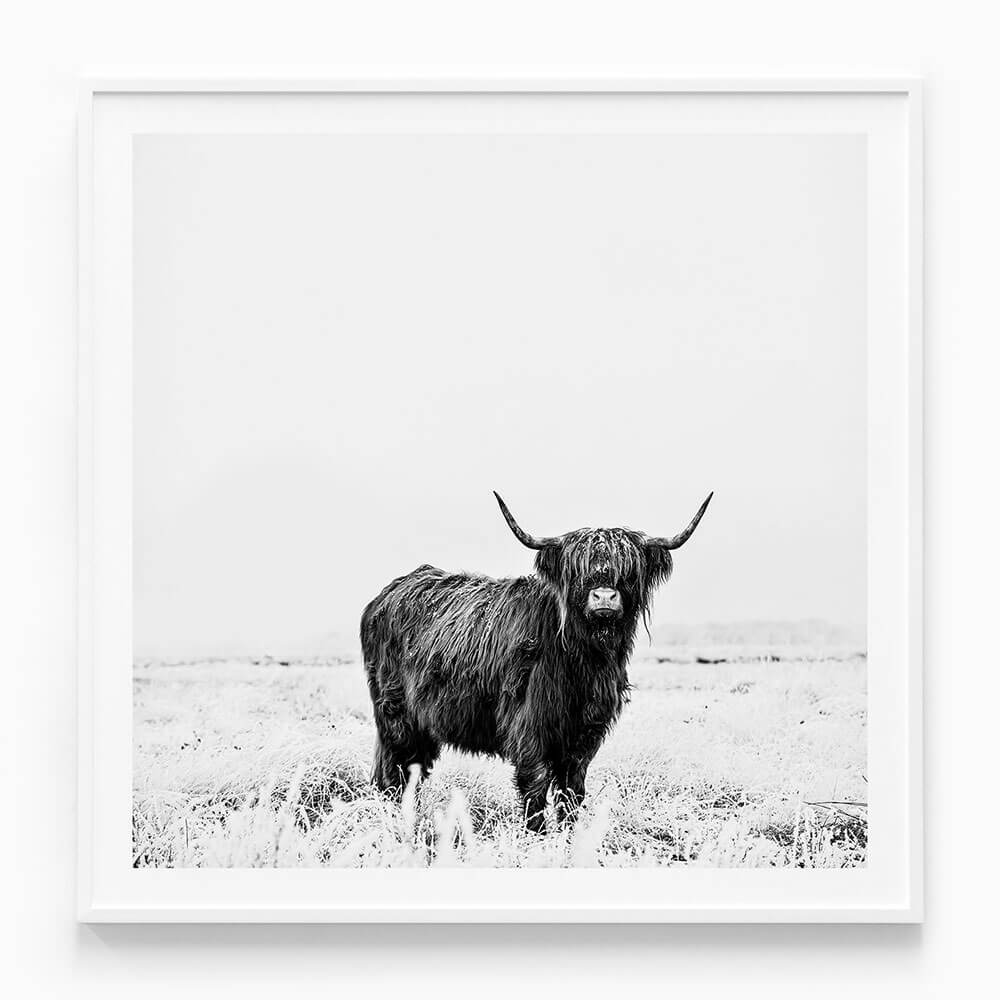 Malcolm B&W