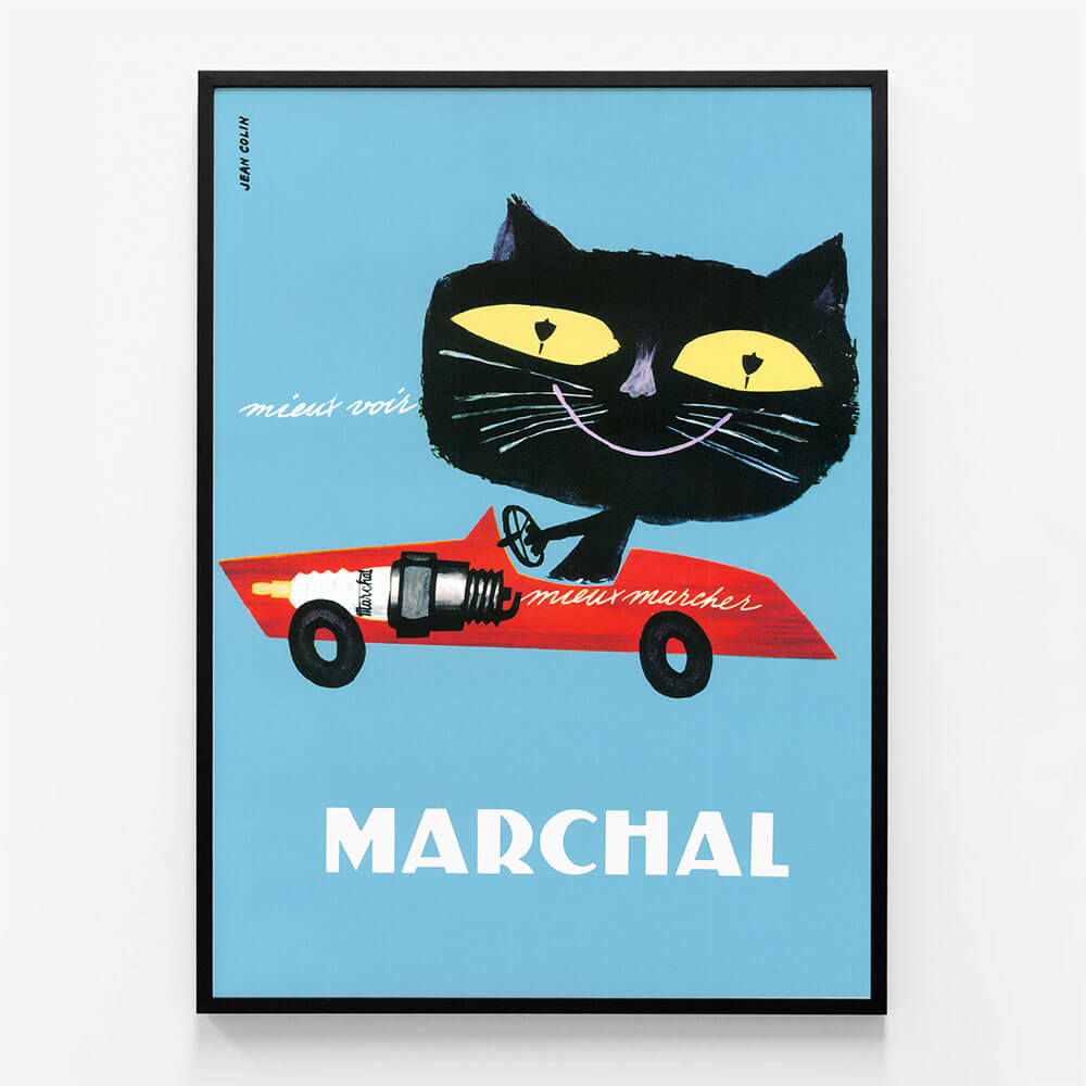 Marchal Cat
