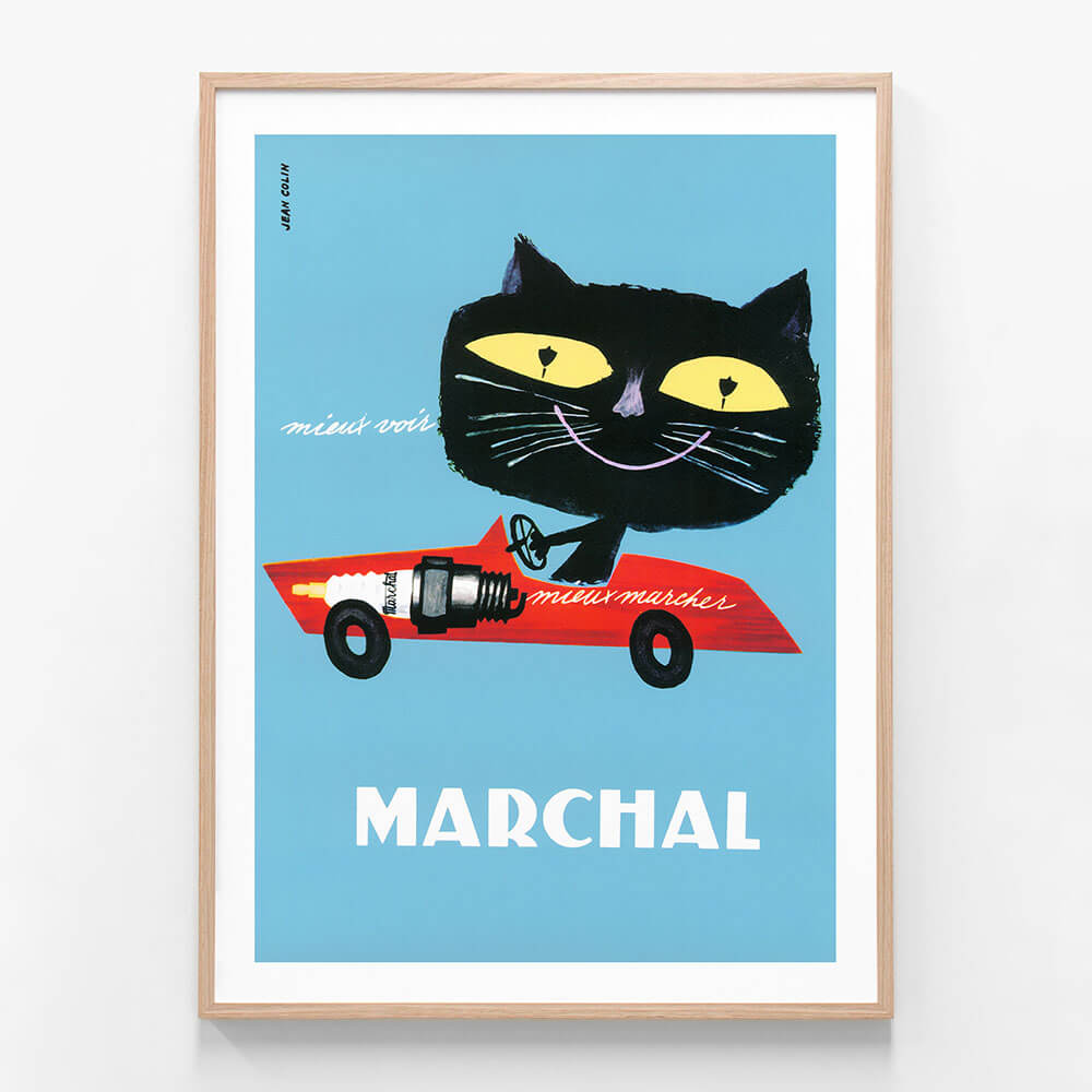 Marchal Cat