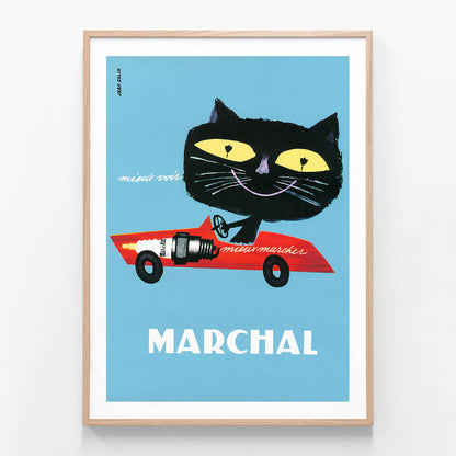 Marchal Cat