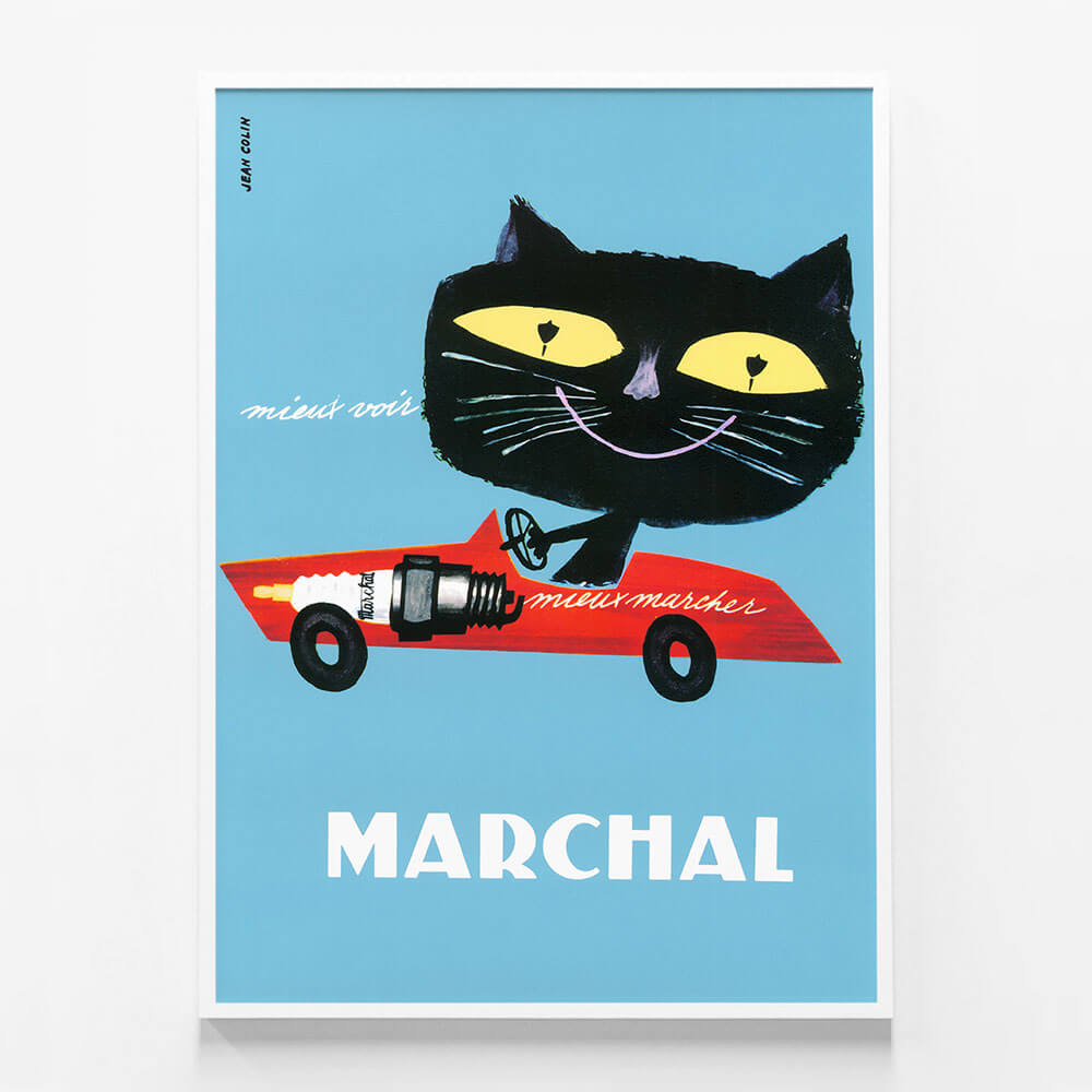 Marchal Cat