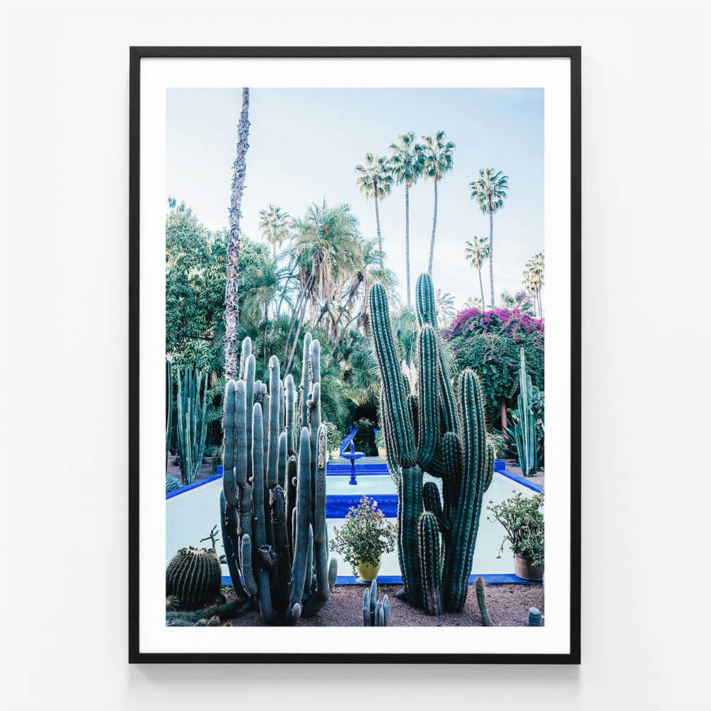 Marrakech Cacti