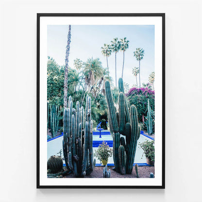 Marrakech Cacti