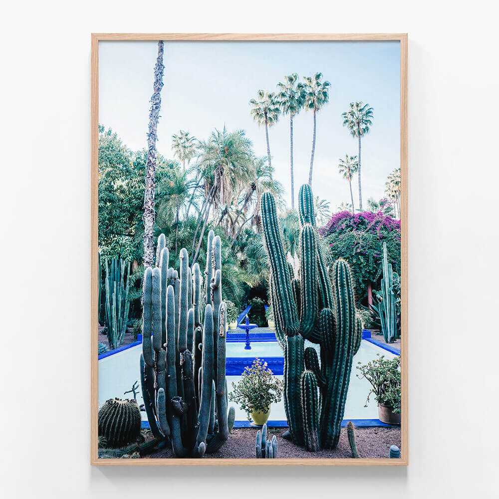 Marrakech Cacti