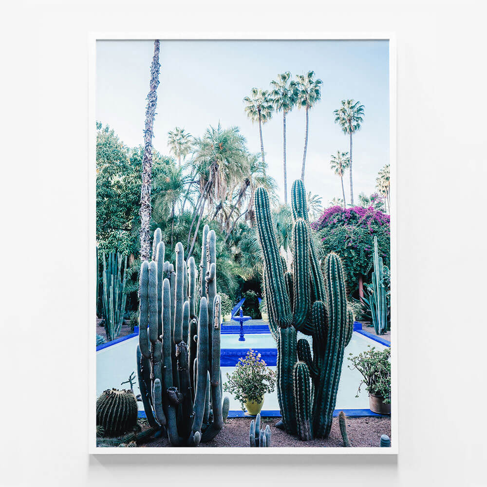 Marrakech Cacti